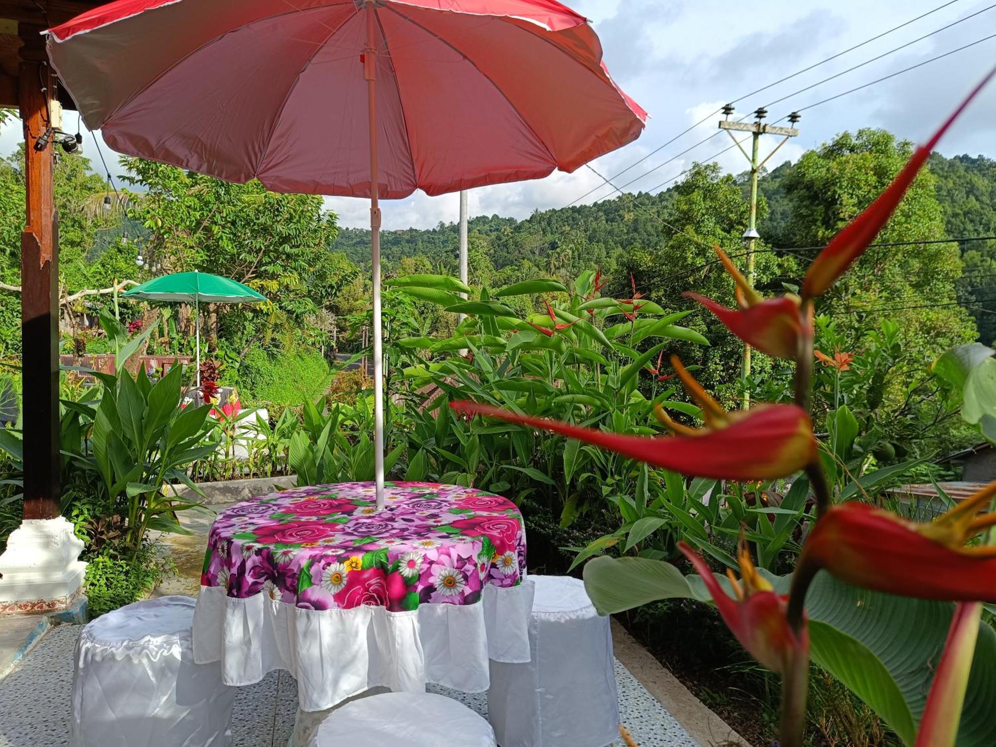 Apartament Gosela Bali Munduk Zewnętrze zdjęcie