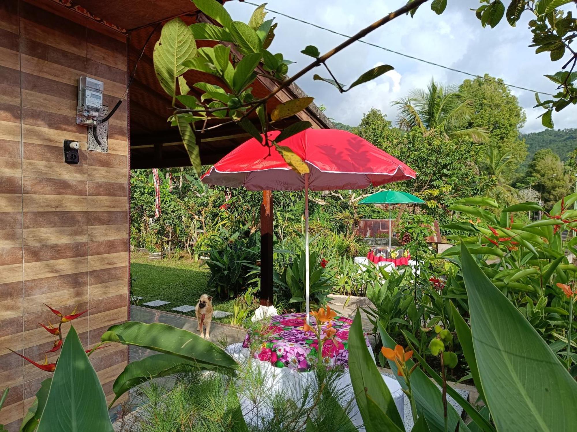 Apartament Gosela Bali Munduk Zewnętrze zdjęcie